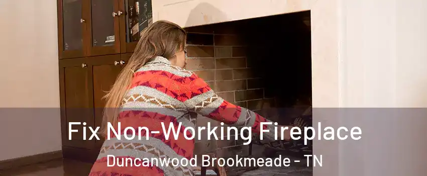 Fix Non-Working Fireplace Duncanwood Brookmeade - TN