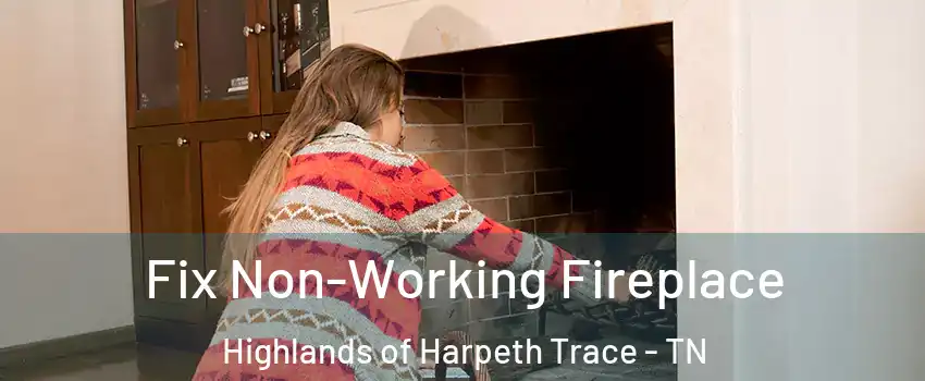 Fix Non-Working Fireplace Highlands of Harpeth Trace - TN