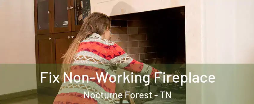 Fix Non-Working Fireplace Nocturne Forest - TN