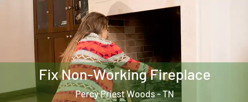 Fix Non-Working Fireplace Percy Priest Woods - TN