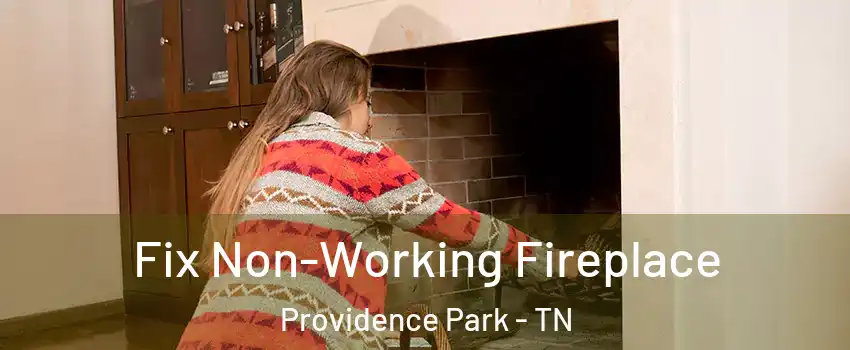 Fix Non-Working Fireplace Providence Park - TN