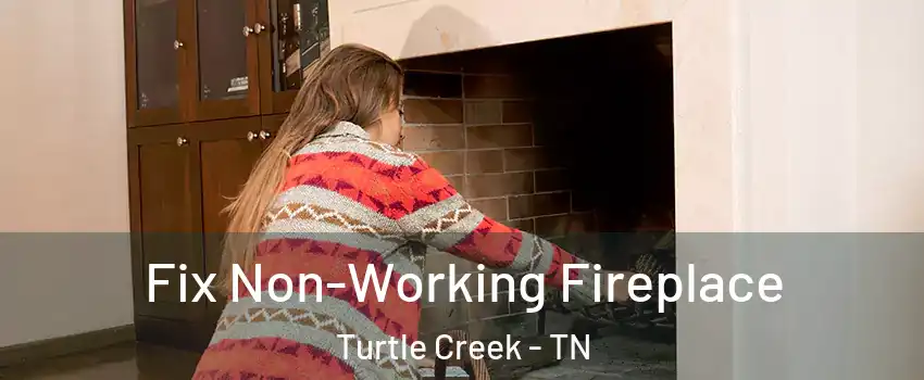 Fix Non-Working Fireplace Turtle Creek - TN