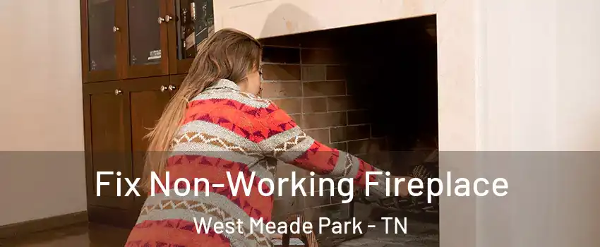 Fix Non-Working Fireplace West Meade Park - TN