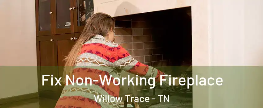 Fix Non-Working Fireplace Willow Trace - TN