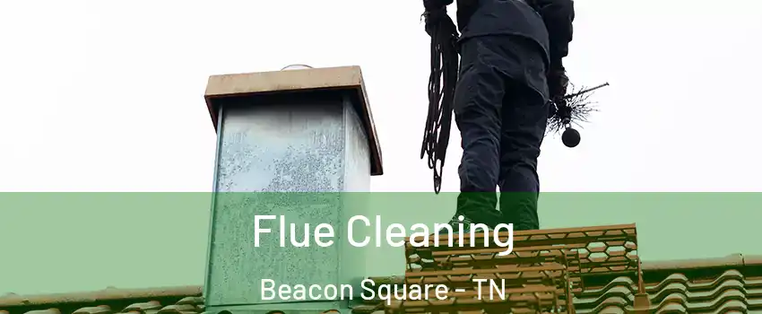 Flue Cleaning Beacon Square - TN