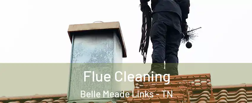 Flue Cleaning Belle Meade Links - TN