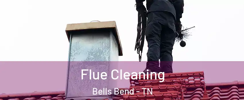 Flue Cleaning Bells Bend - TN