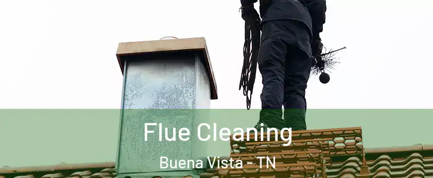 Flue Cleaning Buena Vista - TN