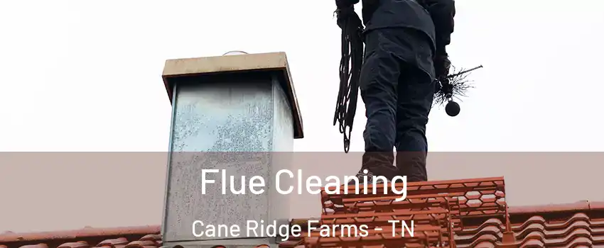 Flue Cleaning Cane Ridge Farms - TN