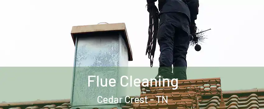 Flue Cleaning Cedar Crest - TN