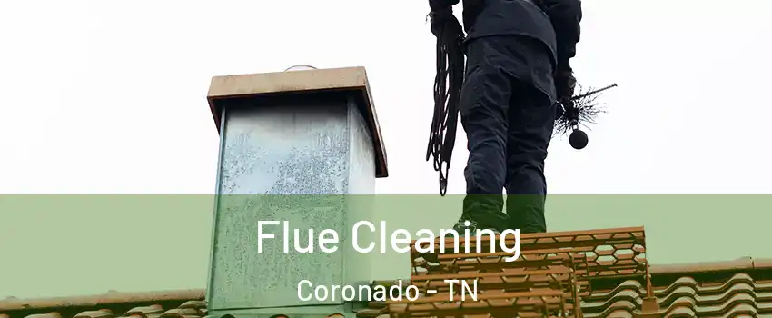 Flue Cleaning Coronado - TN