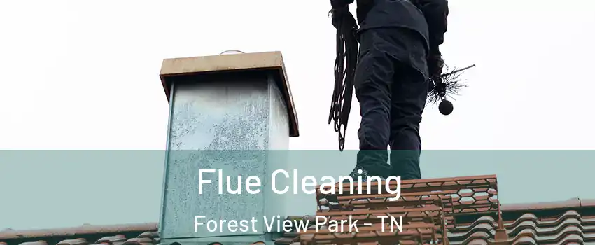 Flue Cleaning Forest View Park - TN