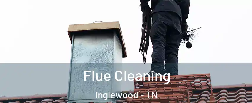 Flue Cleaning Inglewood - TN