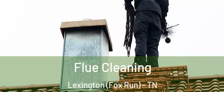 Flue Cleaning Lexington (Fox Run) - TN