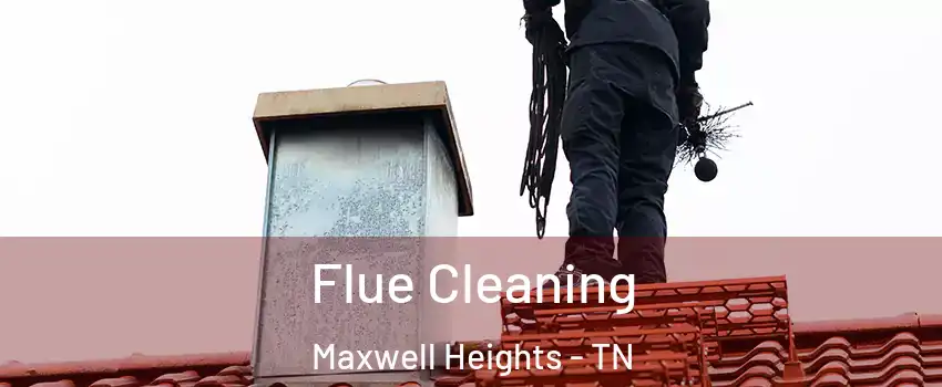 Flue Cleaning Maxwell Heights - TN