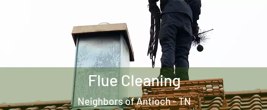 Flue Cleaning Neighbors of Antioch - TN