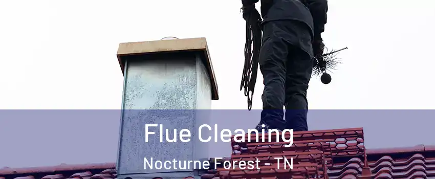 Flue Cleaning Nocturne Forest - TN