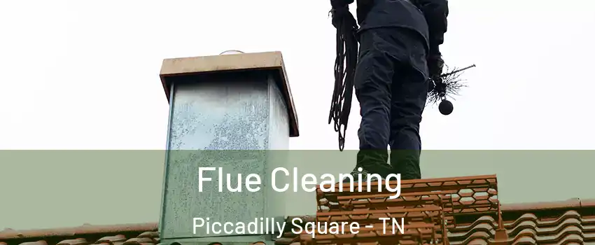 Flue Cleaning Piccadilly Square - TN