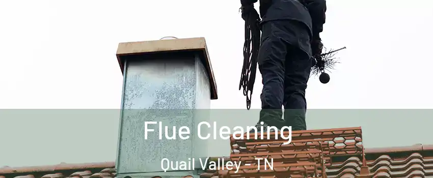 Flue Cleaning Quail Valley - TN