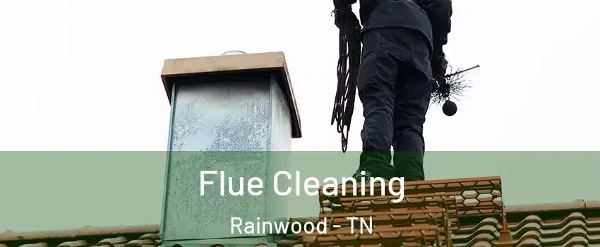 Flue Cleaning Rainwood - TN