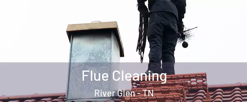 Flue Cleaning River Glen - TN