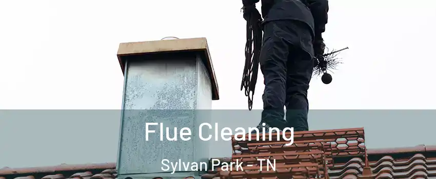 Flue Cleaning Sylvan Park - TN