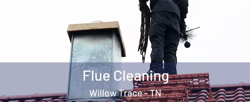 Flue Cleaning Willow Trace - TN