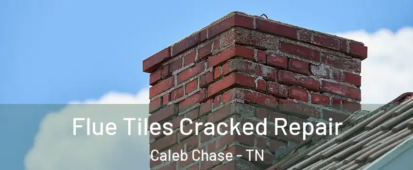 Flue Tiles Cracked Repair Caleb Chase - TN