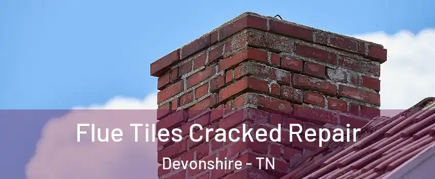 Flue Tiles Cracked Repair Devonshire - TN