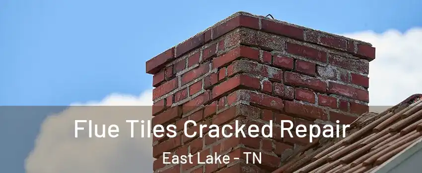 Flue Tiles Cracked Repair East Lake - TN