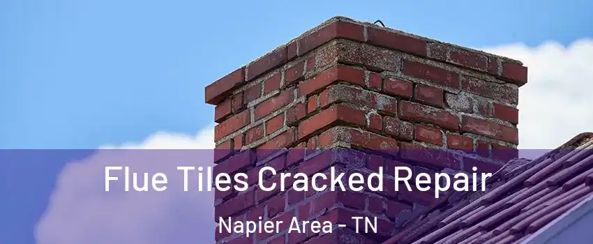 Flue Tiles Cracked Repair Napier Area - TN