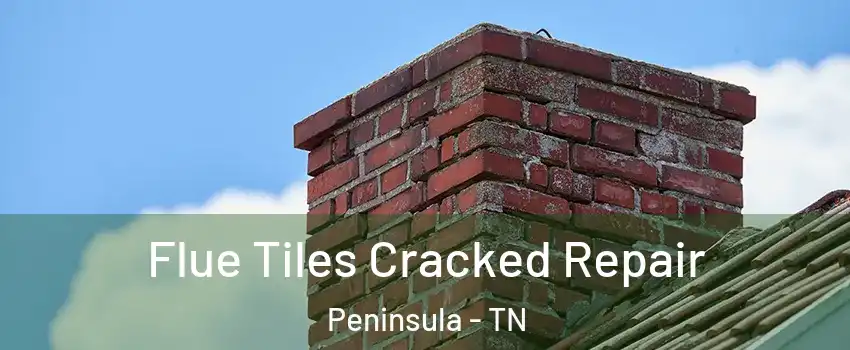 Flue Tiles Cracked Repair Peninsula - TN