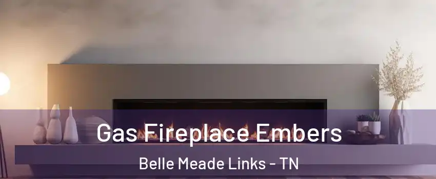 Gas Fireplace Embers Belle Meade Links - TN