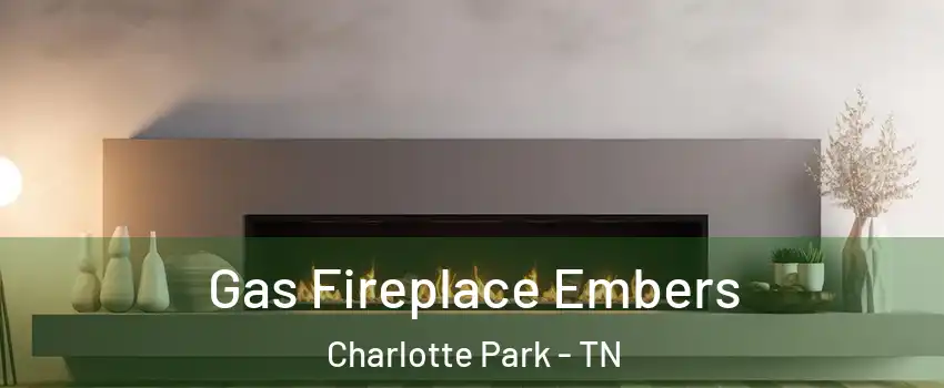 Gas Fireplace Embers Charlotte Park - TN