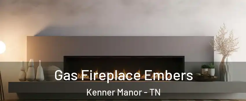 Gas Fireplace Embers Kenner Manor - TN