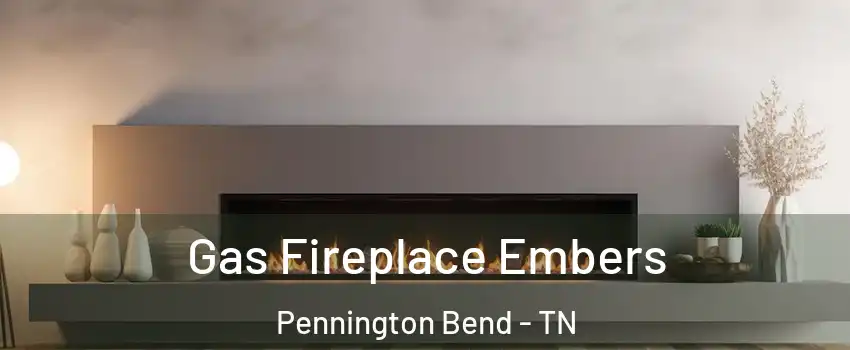 Gas Fireplace Embers Pennington Bend - TN