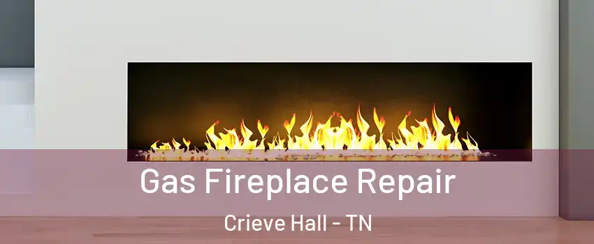 Gas Fireplace Repair Crieve Hall - TN