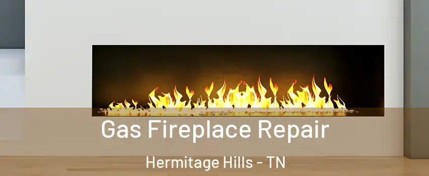 Gas Fireplace Repair Hermitage Hills - TN