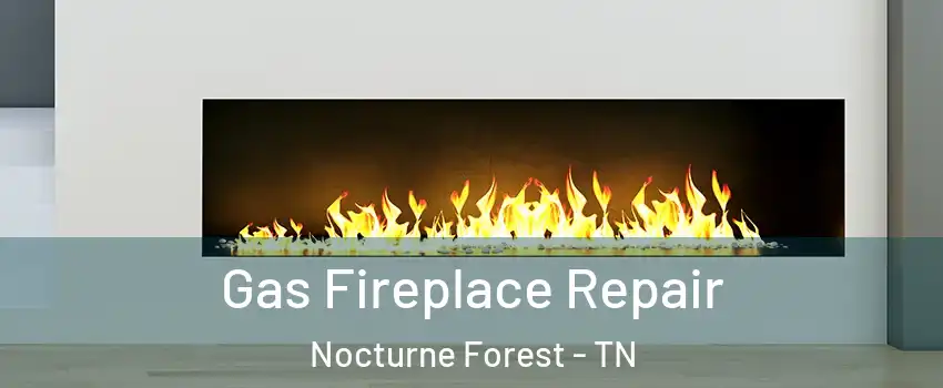 Gas Fireplace Repair Nocturne Forest - TN