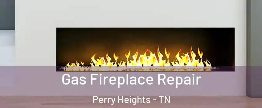 Gas Fireplace Repair Perry Heights - TN