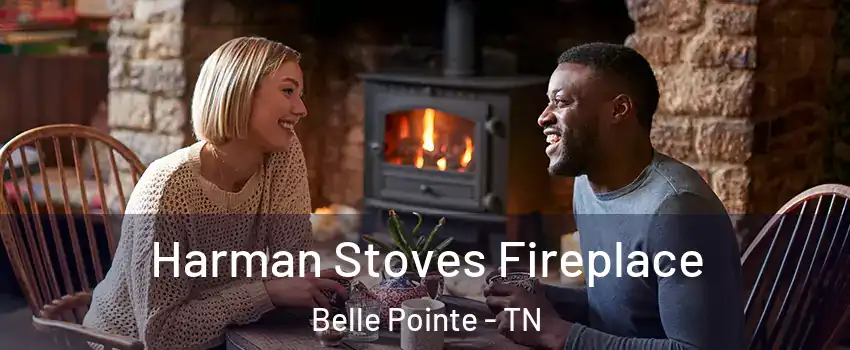 Harman Stoves Fireplace Belle Pointe - TN