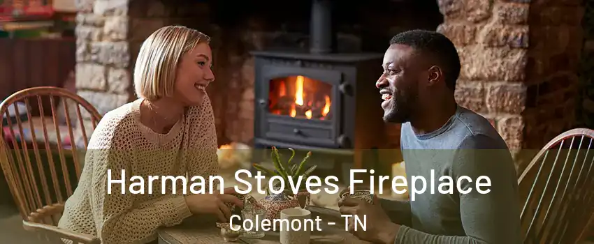 Harman Stoves Fireplace Colemont - TN