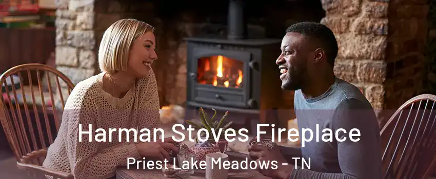 Harman Stoves Fireplace Priest Lake Meadows - TN