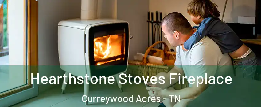 Hearthstone Stoves Fireplace Curreywood Acres - TN