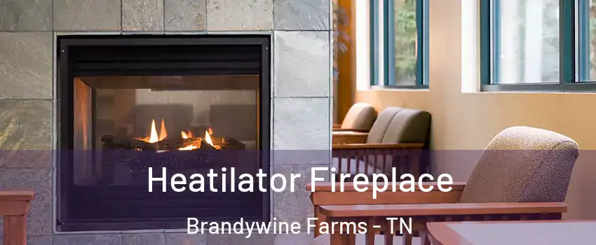 Heatilator Fireplace Brandywine Farms - TN