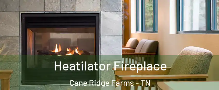 Heatilator Fireplace Cane Ridge Farms - TN