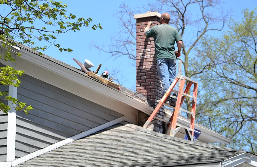 Chimney & Fireplace Inspections Services in Nashville, TN