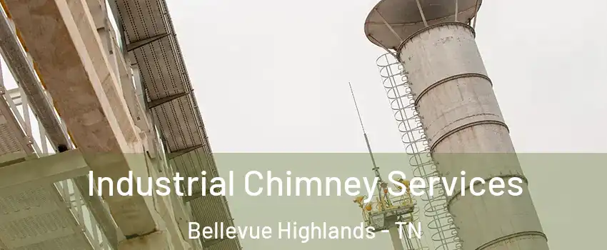 Industrial Chimney Services Bellevue Highlands - TN