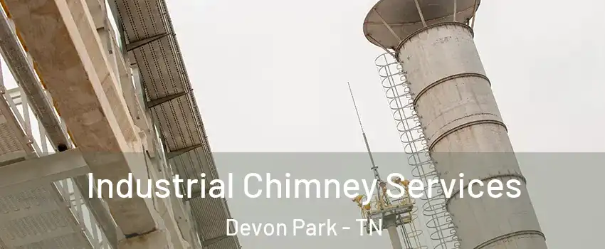 Industrial Chimney Services Devon Park - TN