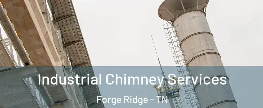 Industrial Chimney Services Forge Ridge - TN